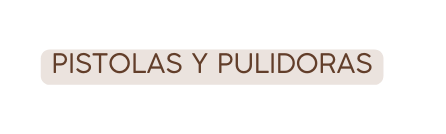 PISTOLAS Y PULIDORAS